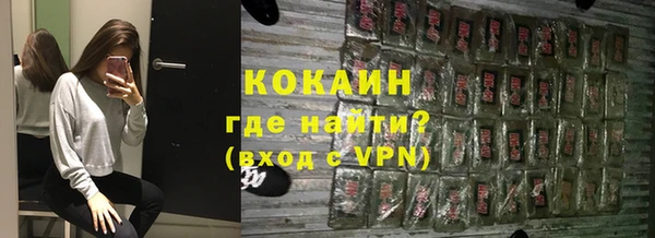 молекула духа Алексин