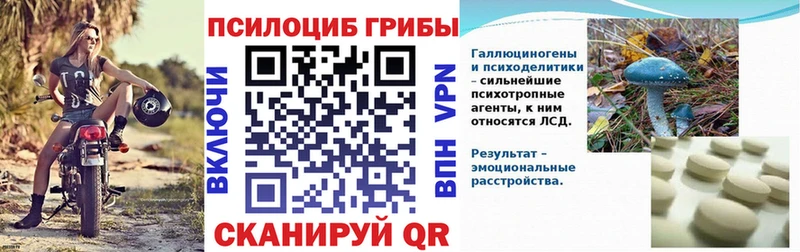 Псилоцибиновые грибы Psilocybe  магазин  наркотиков  Таруса 